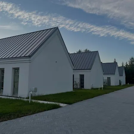 W Wycinkach Wycinki